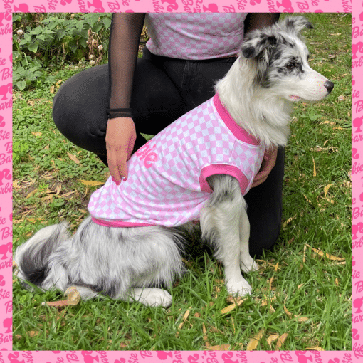 una mujer arrodillada junto a un perro con una camisa rosa