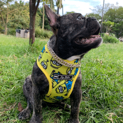 un perro con un pañuelo amarillo sentado en la hierba