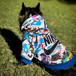 un perro pequeño con una chaqueta colorida sentado en la hierba