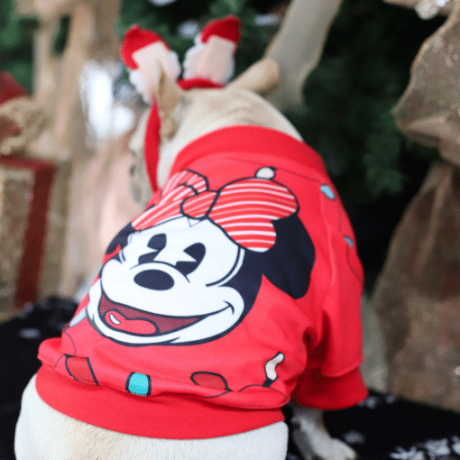 Un perro con una camiseta roja con un Mickey Mouse.