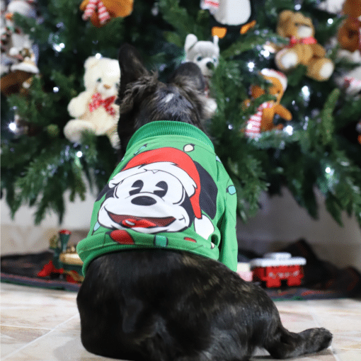 un perro negro con un suéter navideño verde sentado frente a un árbol de navidad
