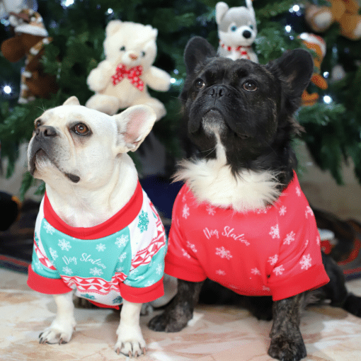 Dos perros pequeños con suéteres frente a un árbol de Navidad.