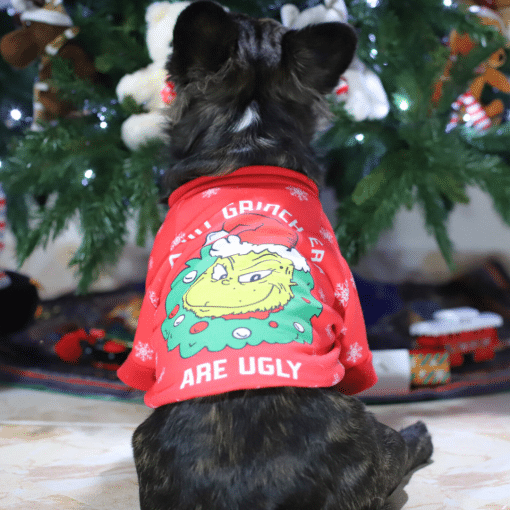 un perro pequeño con una camisa roja sentado frente a un árbol de navidad