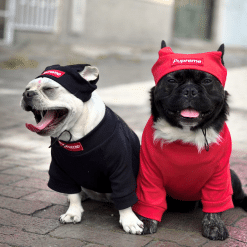 dos perros vestidos con ropa roja y negra