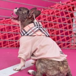 un perro pequeño con una camisa rosa y una bufanda