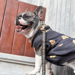 un perro pequeño que lleva un suéter con flores