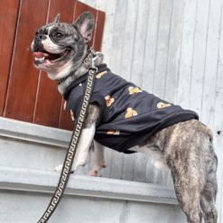 un perro con una camiseta con corazones