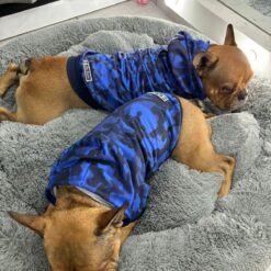 dos perros duermen en una cama para perros
