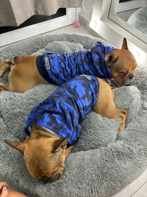 dos perros duermen en una cama para perros