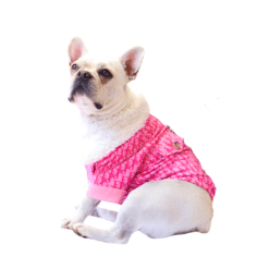 un pequeño perro blanco con una camisa rosa