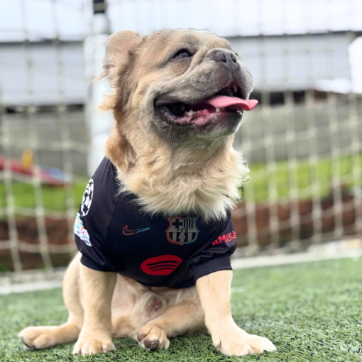Camiseta Barcelona Black