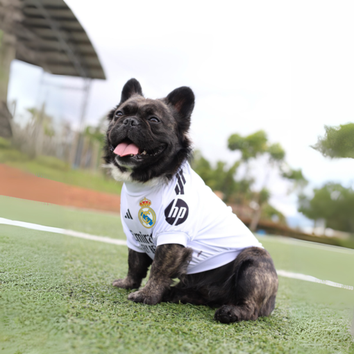 Camiseta Real Madrid