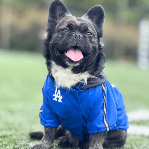 Impermeable LA Blue