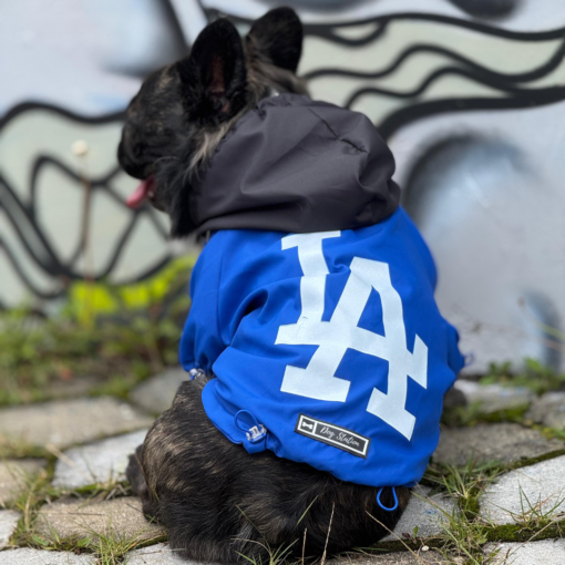 Impermeable LA Blue - Image 3
