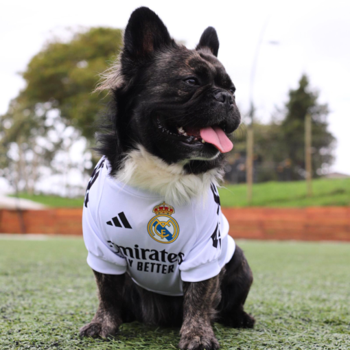 Camiseta Real Madrid - Image 4