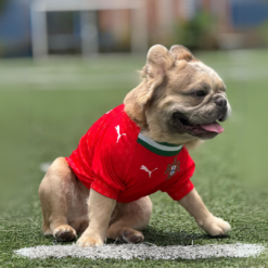 Camiseta Portugal
