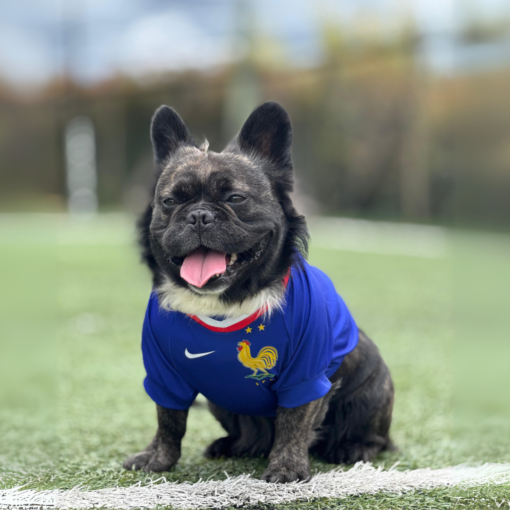 Camiseta Francia