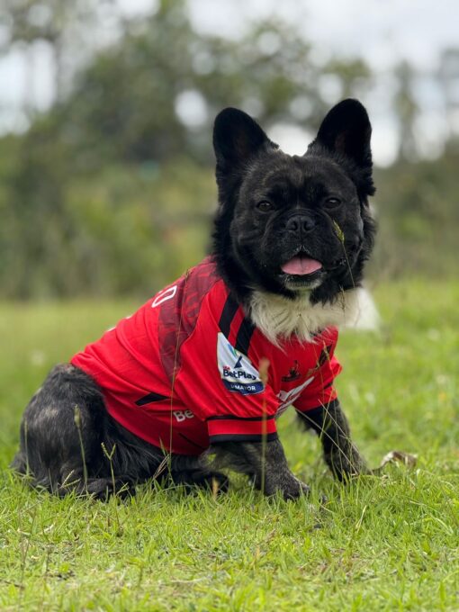 Camiseta America de Cali - Image 2