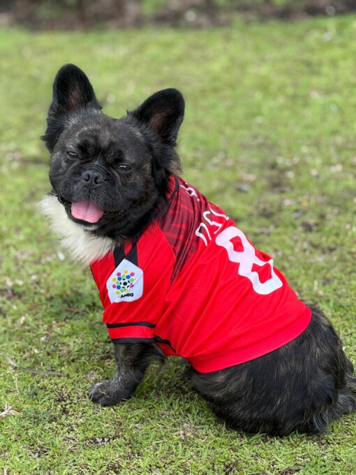 Camiseta America de Cali - Image 3