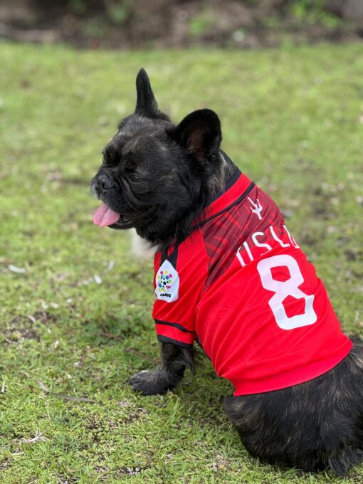 Camiseta America de Cali - Image 4