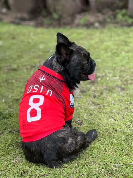 Camiseta America de Cali
