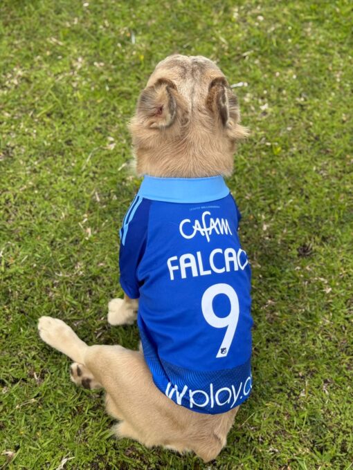 Camiseta Millonarios - Image 3