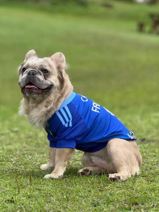 Camiseta Millonarios - Image 2