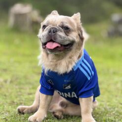 Camiseta Millonarios