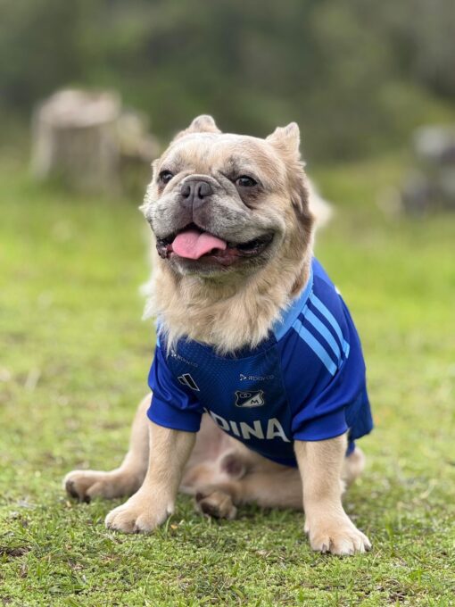 Camiseta Millonarios