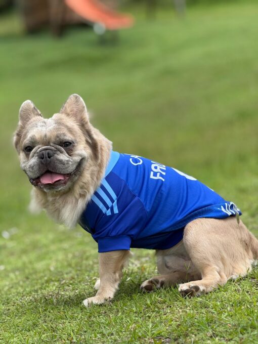 Camiseta Millonarios - Image 4