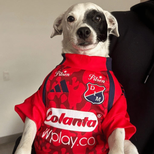 Camiseta Futbol DIM - Image 2