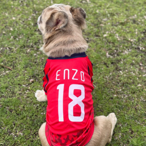 Camiseta Futbol DIM - Image 4
