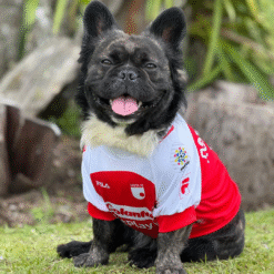 Camiseta Santa Fe