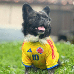 Alternative view of Camiseta Colombia Edicion Mundial 2026