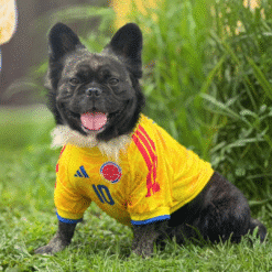 Camiseta Colombia Edicion Mundial 2026