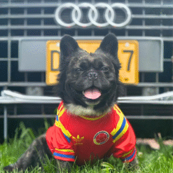 Camiseta Colombia Retro