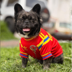 Alternative view of Camiseta Colombia Retro