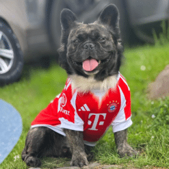 camiseta Local FC Bayern 25/26