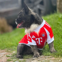 Alternative view of camiseta Local FC Bayern 25/26