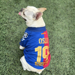 Camiseta FC Barcelona 24