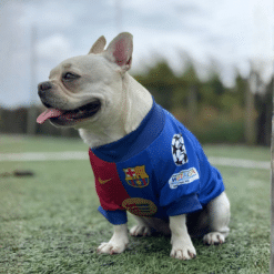 Alternative view of Camiseta FC Barcelona 24