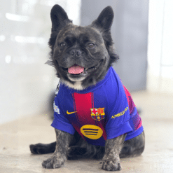 Camiseta Futbol Barcelona