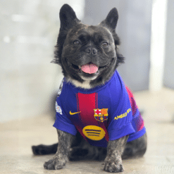 Alternative view of Camiseta Futbol Barcelona