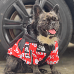 Impermeable The dog Face Red - Imagen 2