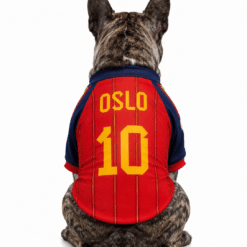 Alternative view of Camiseta España