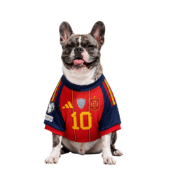 Camiseta España
