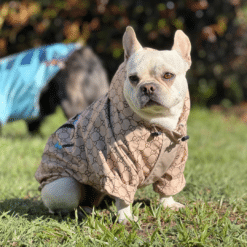 Alternative view of Impermeable Gucci Prestige