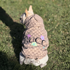 Impermeable Gucci Prestige